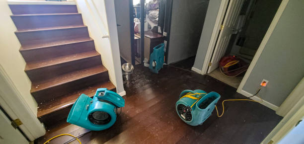 Best Basement water damage restoration  in Hesperia, CA