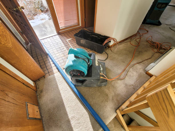 Best Sewage cleanup and water damage restoration  in Hesperia, CA