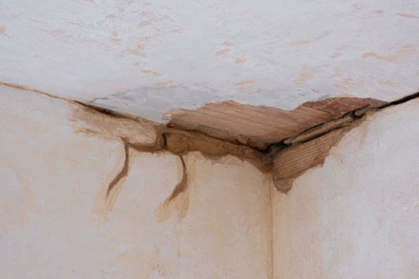 Best Flood restoration services  in Hesperia, CA