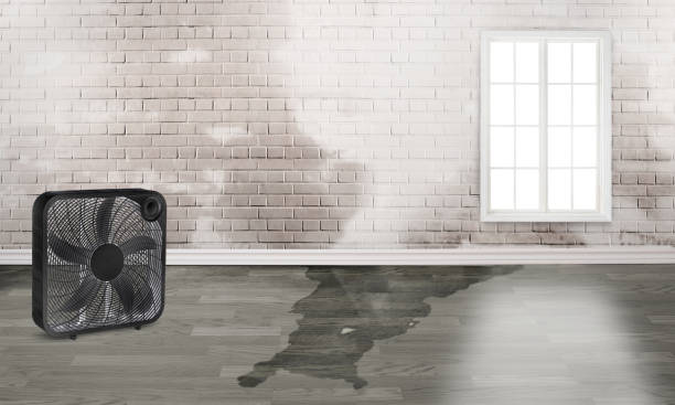Best Water damage mitigation services  in Hesperia, CA