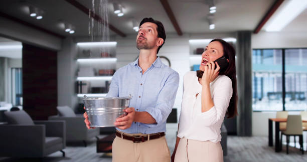 Best Fire Damage Restoration  in Hesperia, CA